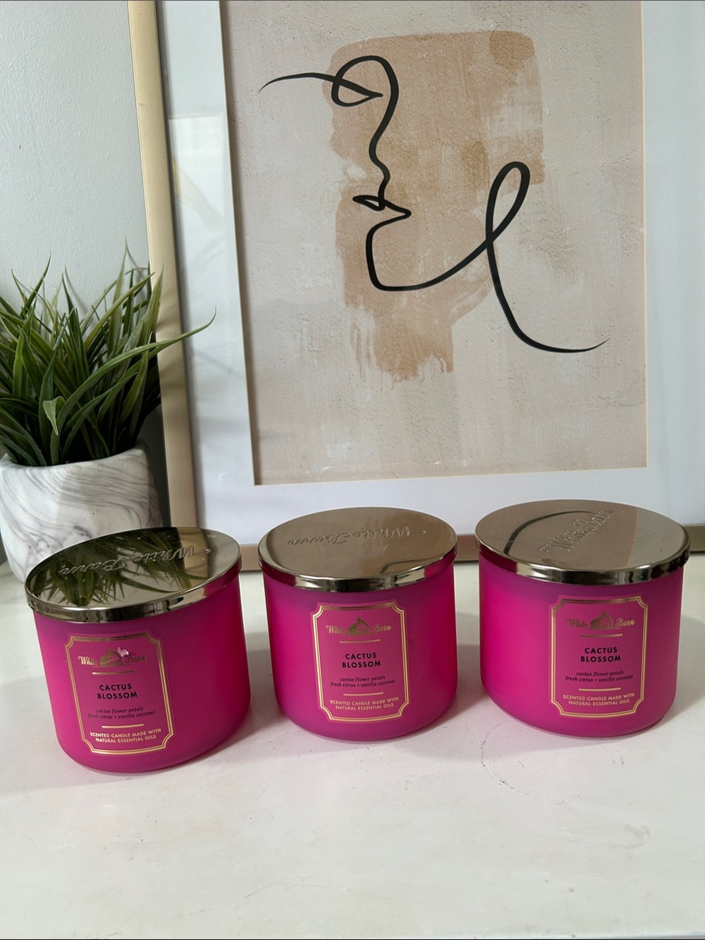 White Barn Cactus Blossom Candles (3)